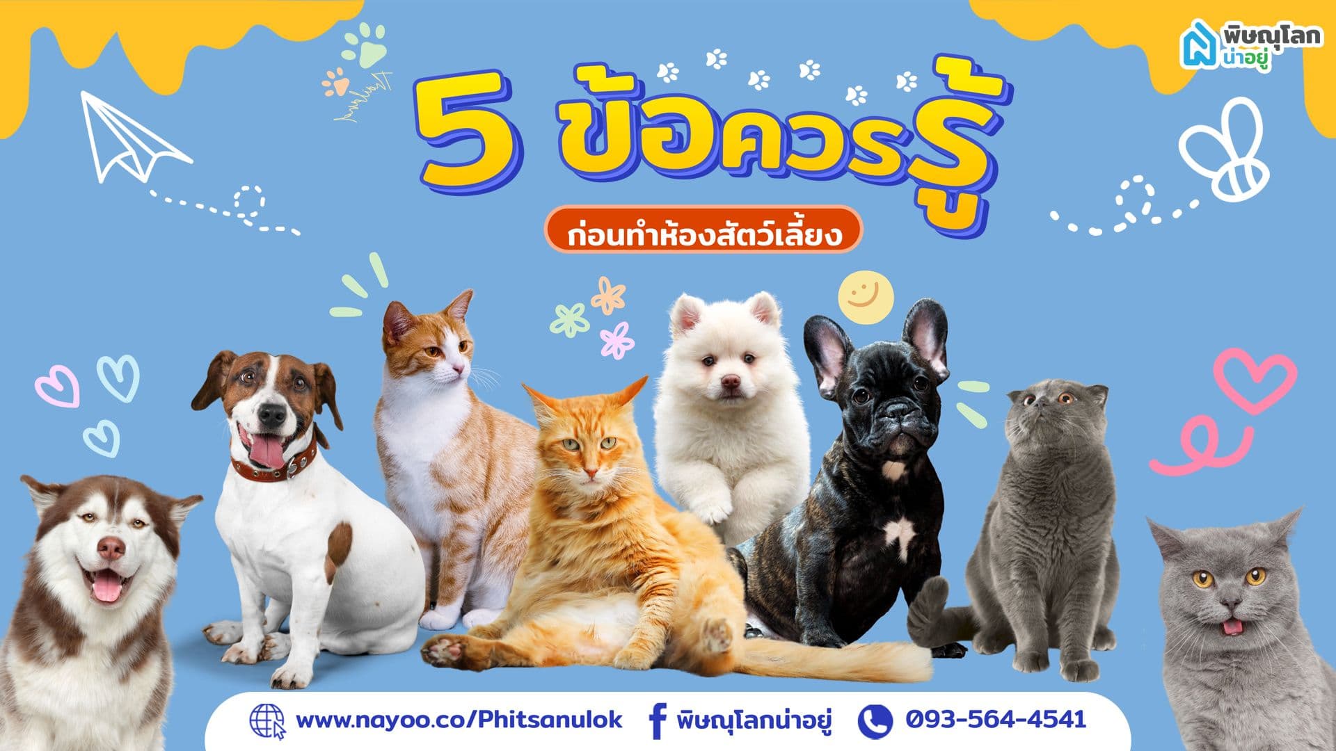 5 ข้อควรรู้ก่อนทำห้องสัตว์เลี้ยง