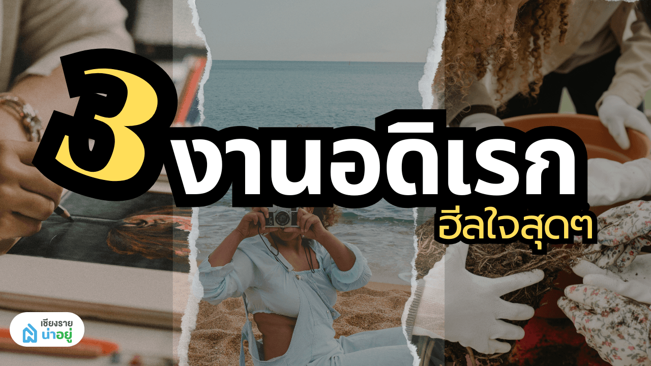 3งานอดิเรกที่ช่วยเติมพลังใจ การวาดรูป การถ่ายภาพ และการทำสวน