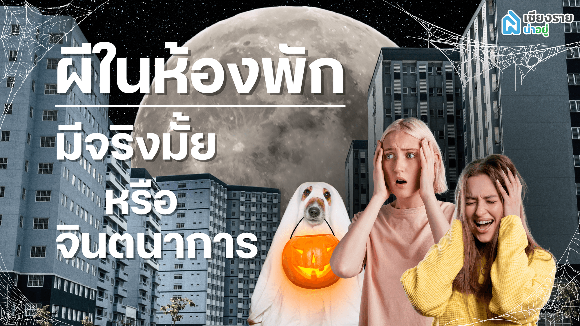 ผีในห้องพัก – ความจริงหรือจินตนาการ? และพวกเขาเป็นมิตรหรือไม่? 👻🏢