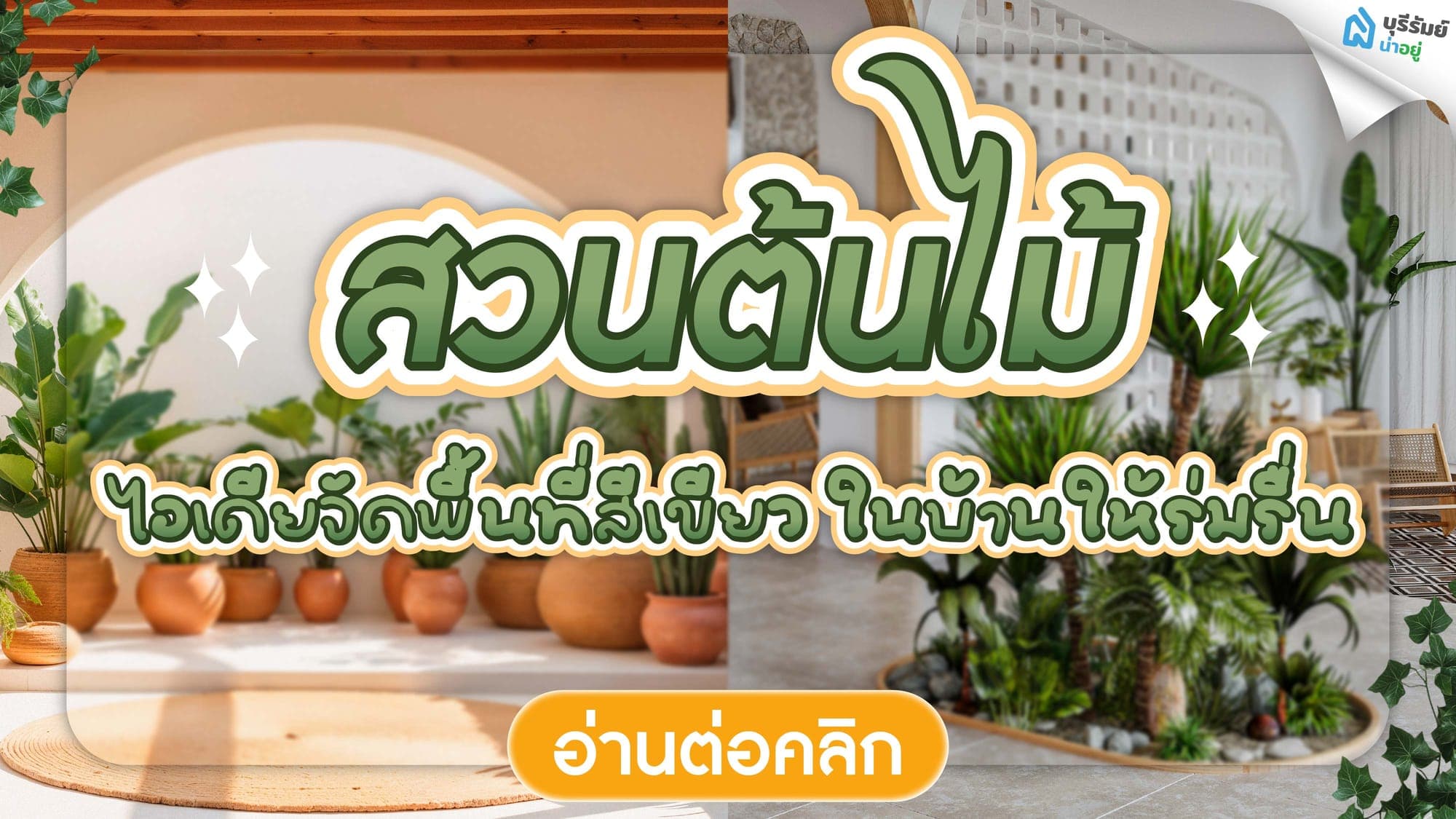 สวนต้นไม้ ไอเดียจัดพื้นที่สีเขียวในบ้านให้ร่มรื่น