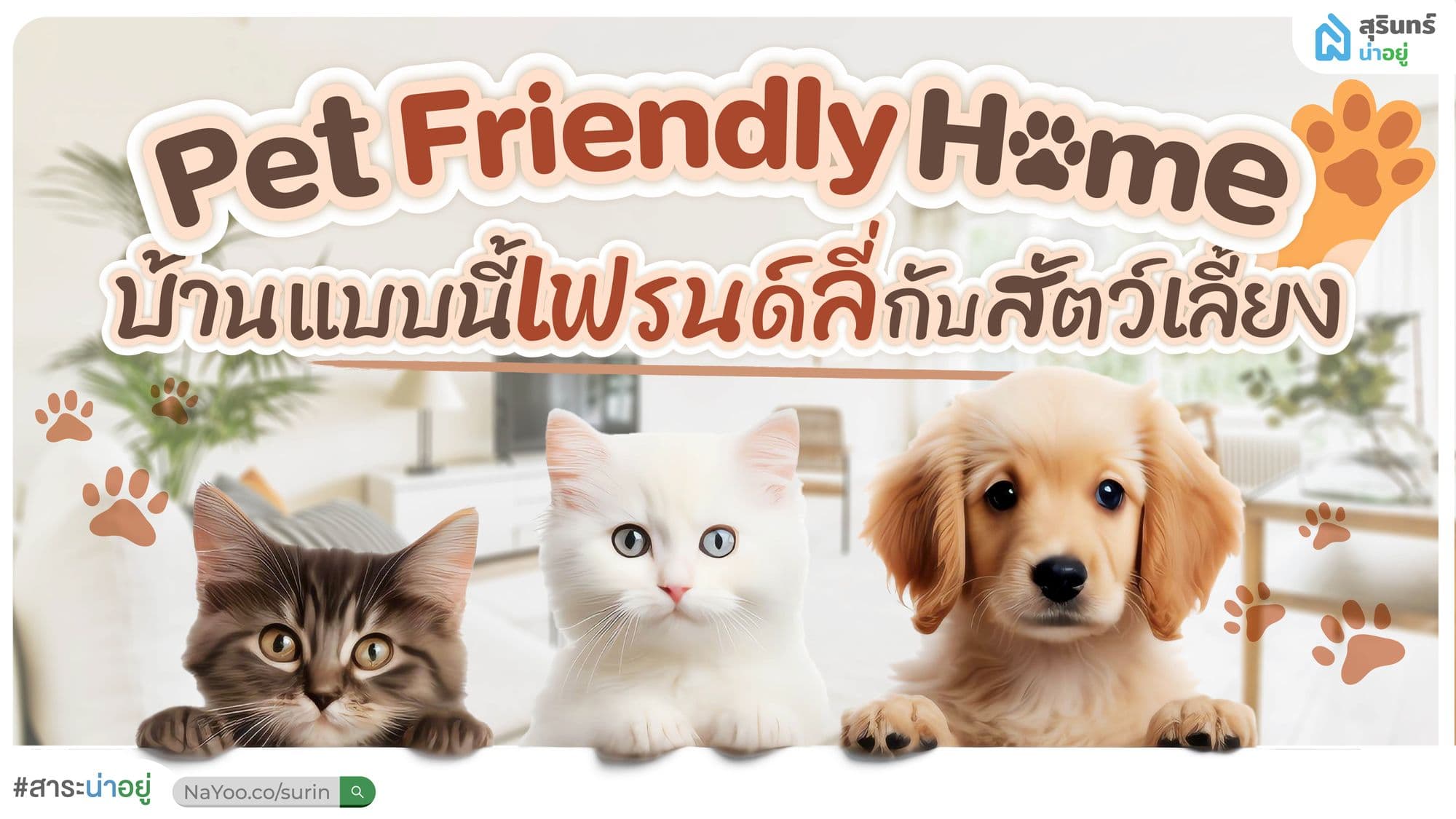 Pet-Friendly Home บ้านแบบนี้ เฟรนด์ลี่กับสัตว์เลี้ยง