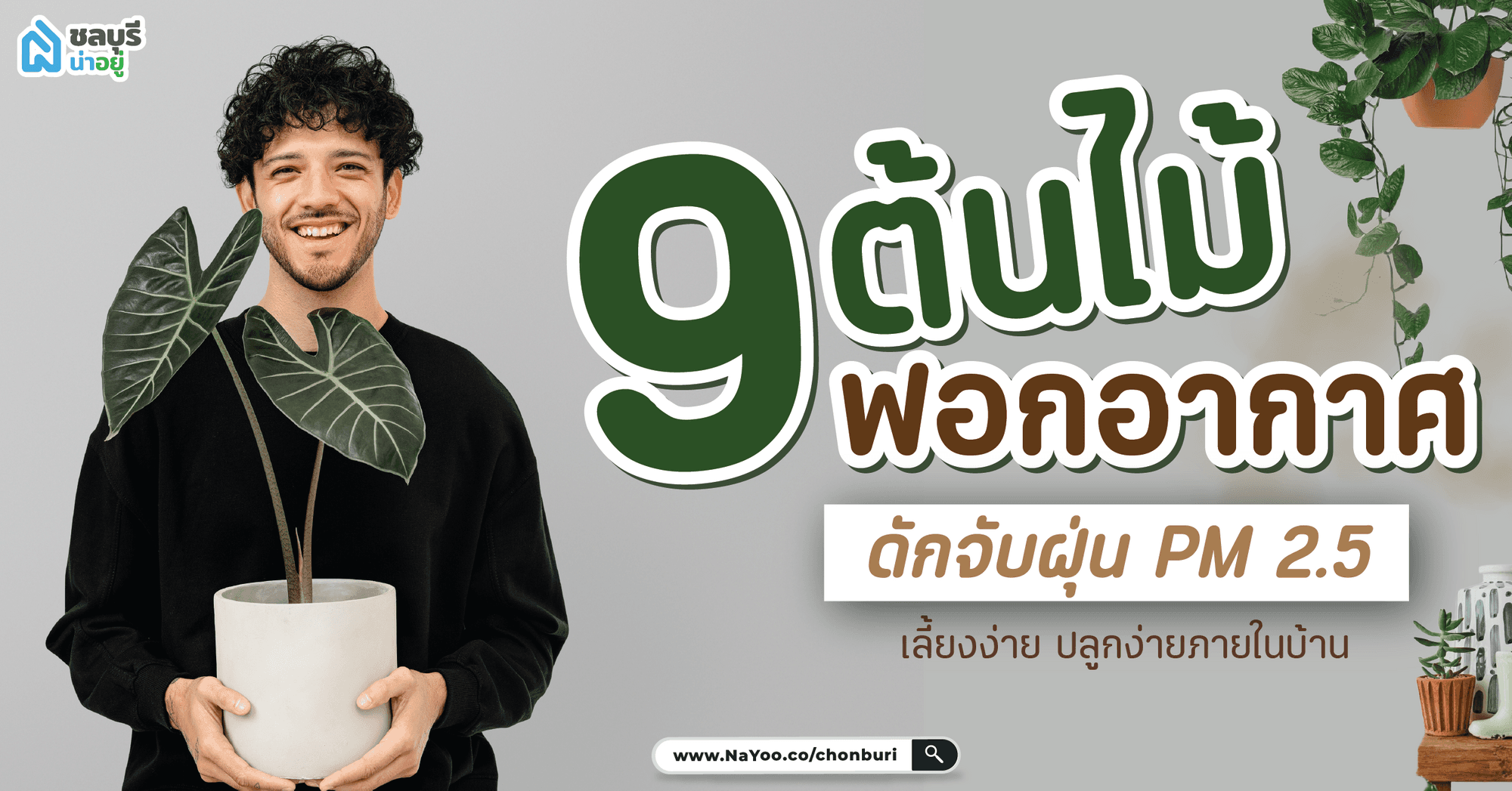 9 ต้นไม้ฟอกอากาศ ปลูกในบ้าน เพิ่มพื้นที่สีเขียว ดักฝุ่น PM 2.5